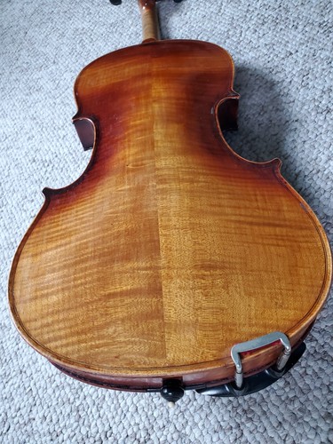 Full size violin 100 - full,