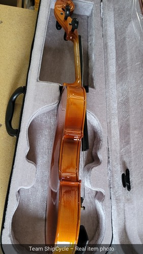 U28562 stradivarius fine 44 - u28562,