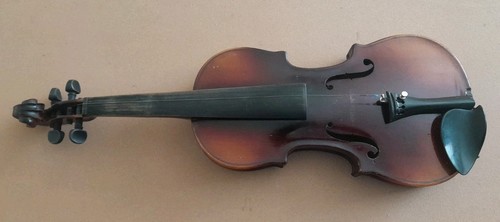 Stradivarius cremonefis - stradivarius,