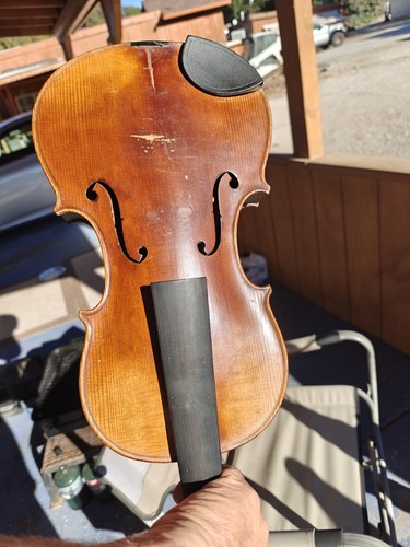 Stradivarius violin has been - violin,