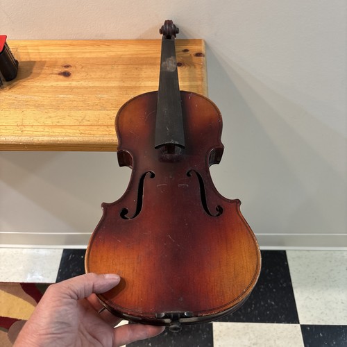 Antonius stradivarius - antonius,